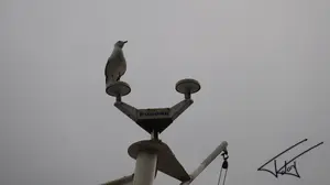 060