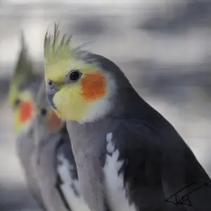 082