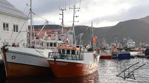 Bateaux<br>Couleur