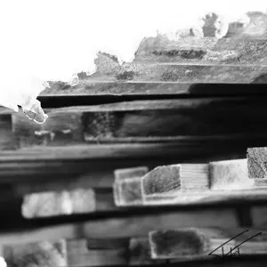 Bois<br>Noir et Blanc