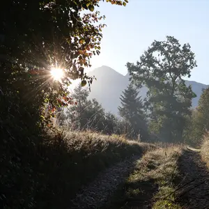 Chemins<br>Couleur