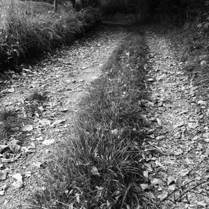 Chemins<br>Noir et Blanc