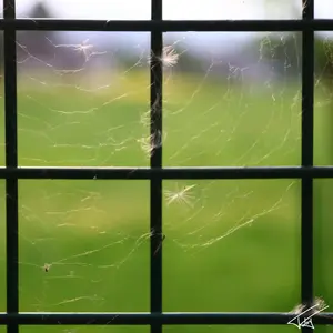 036