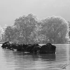 Eau<br>Noir et Blanc