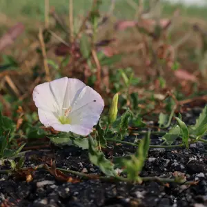 022