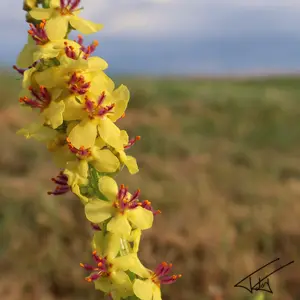023