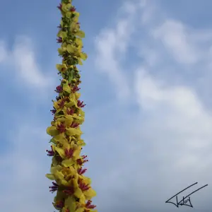 024