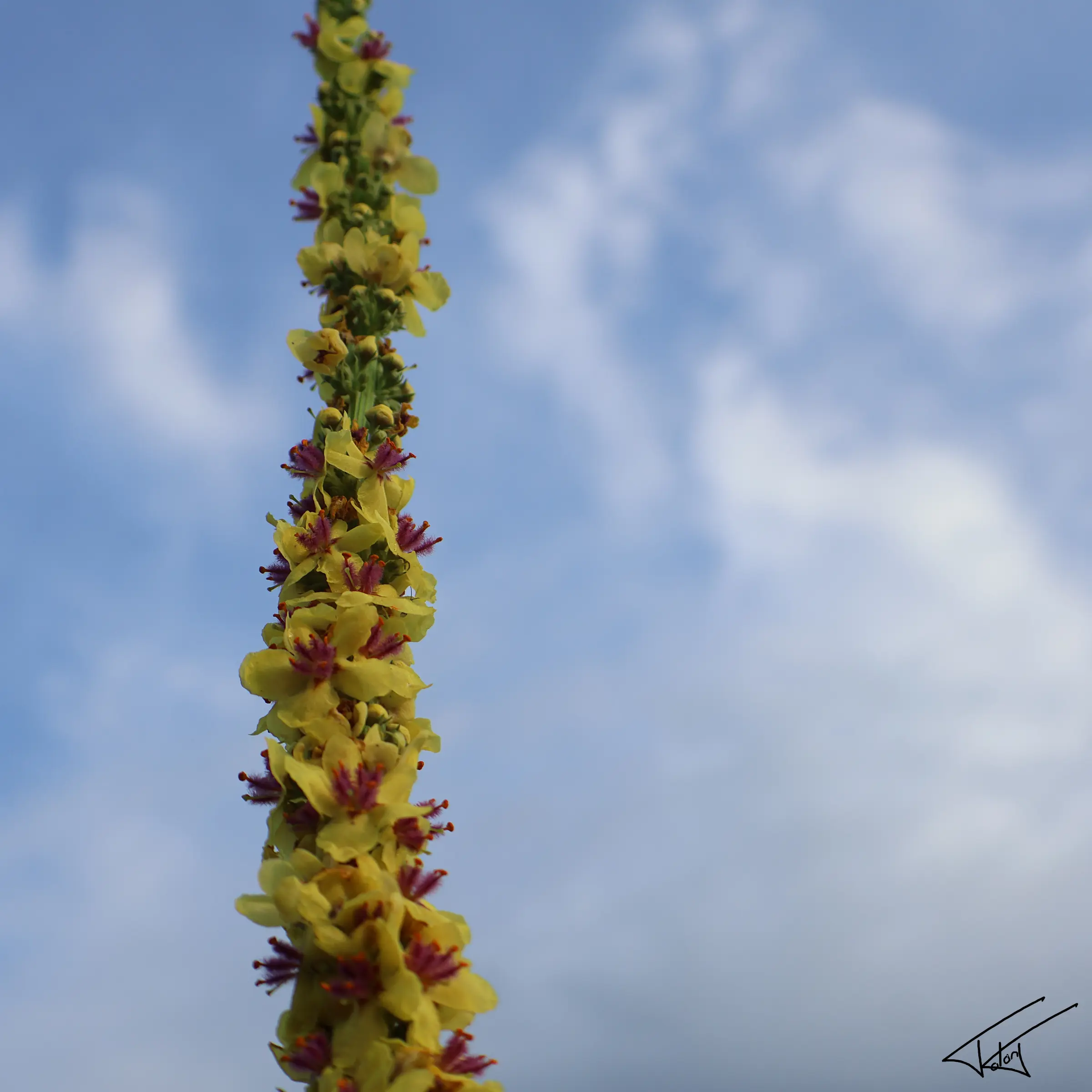 024