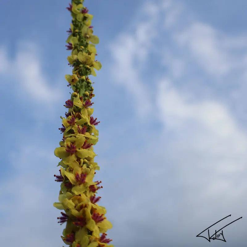 024