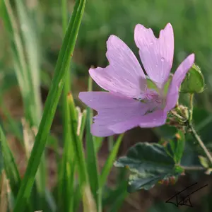026