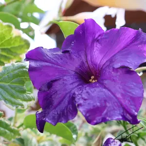 028