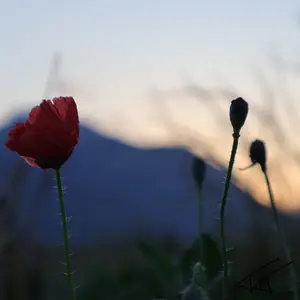 030