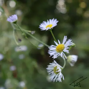 037