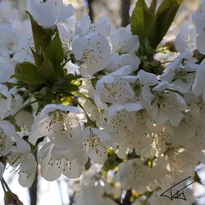 041