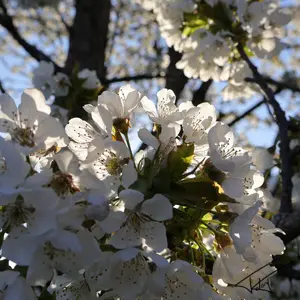 042