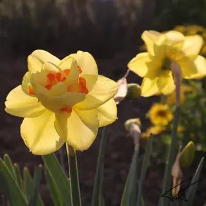 045