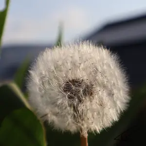 047