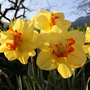 048