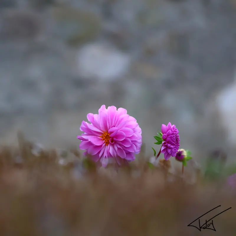 064