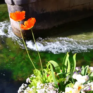 086