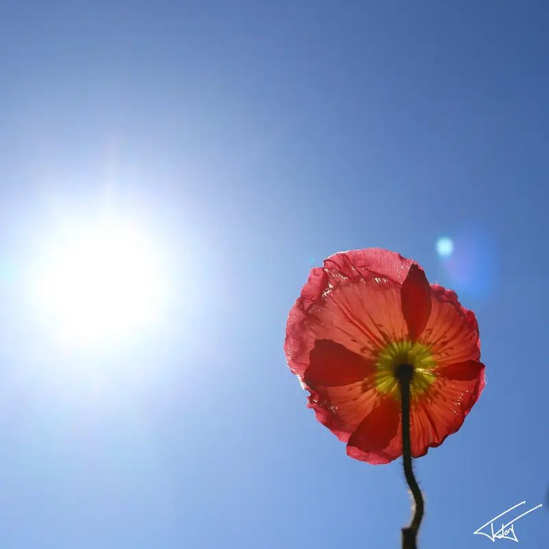 088