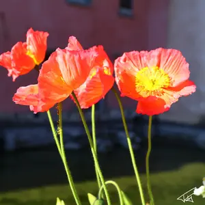 089