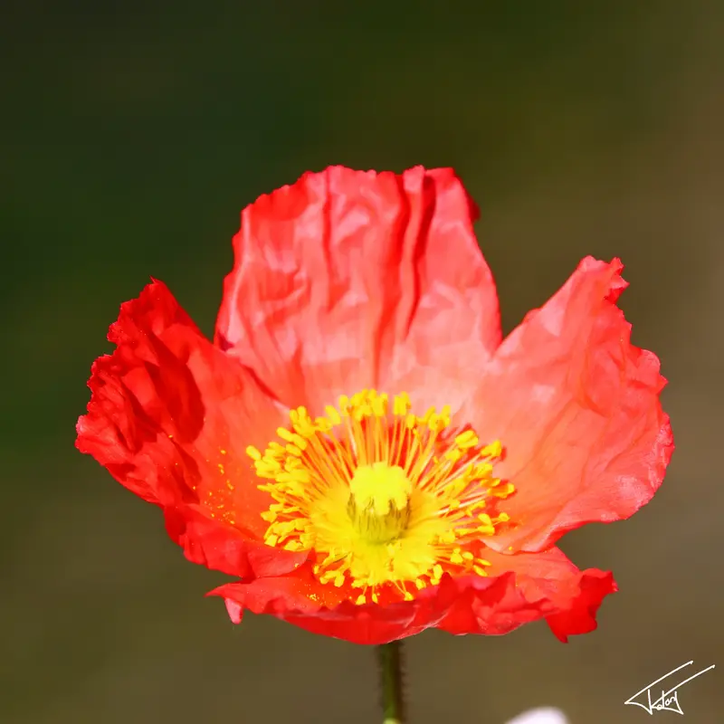 091