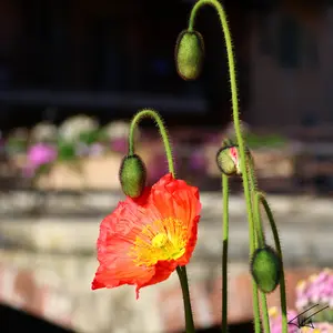 092
