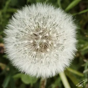 094