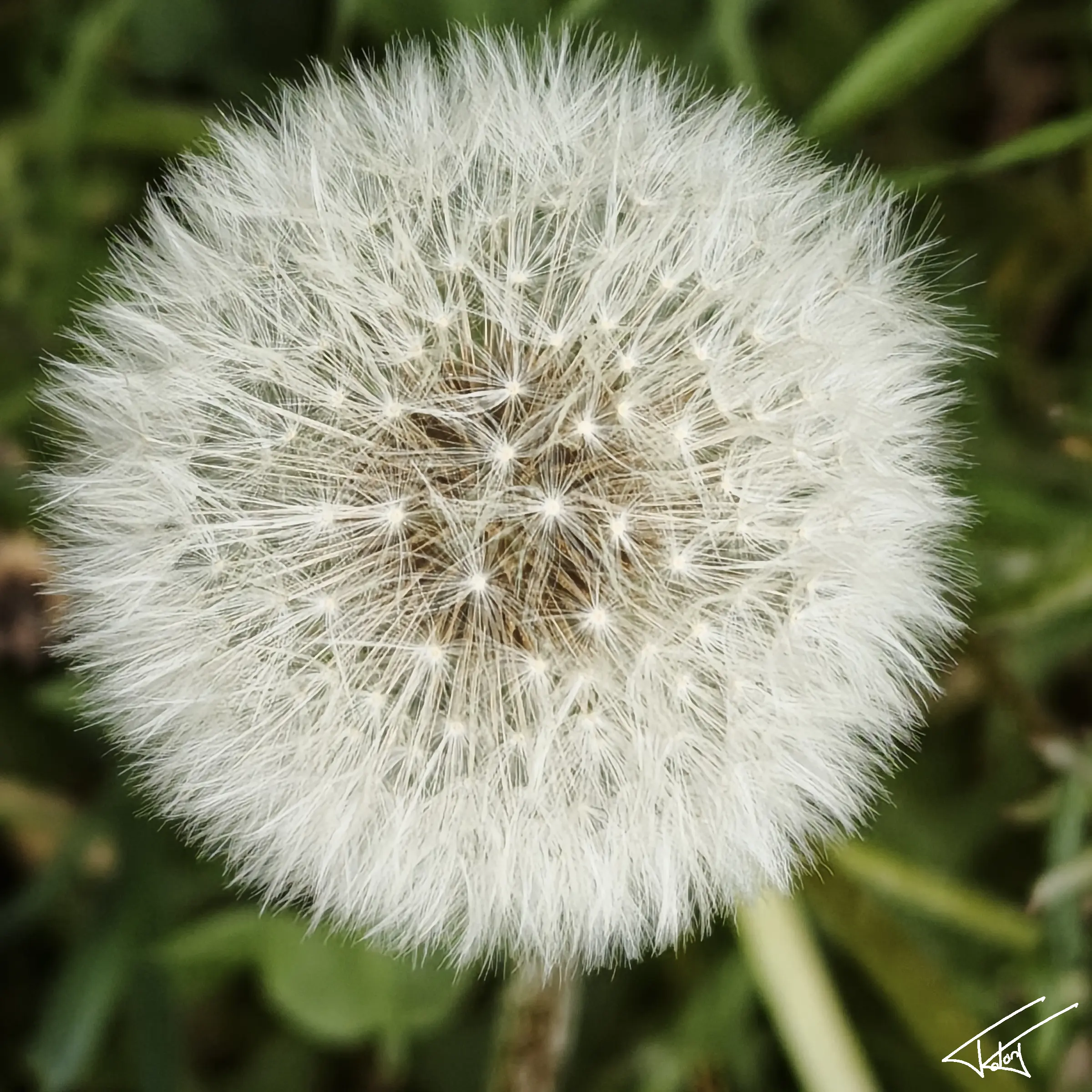 094