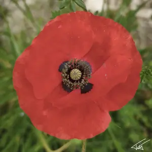 095
