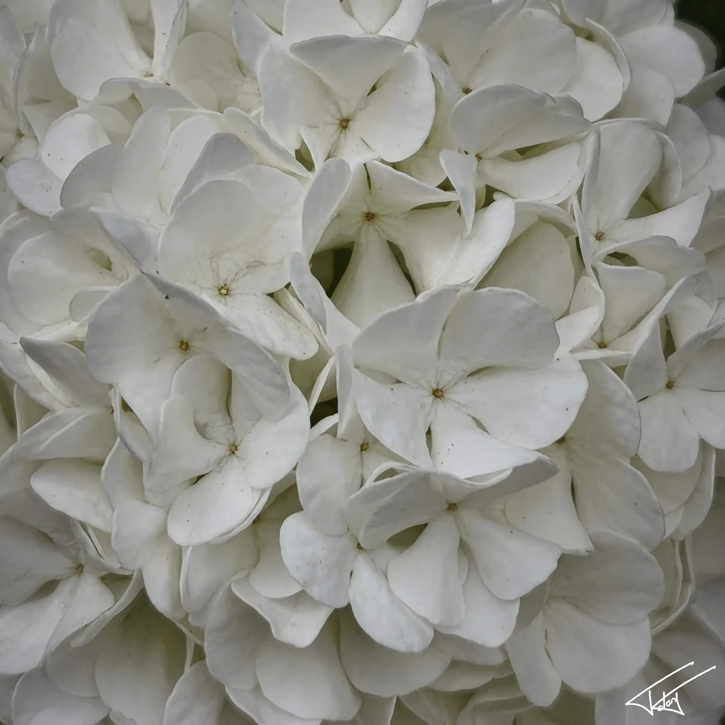 097