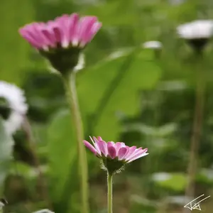 102