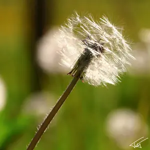 105