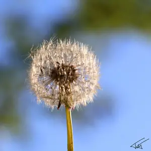 106