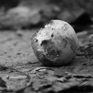 Fruits<br>Noir et Blanc
