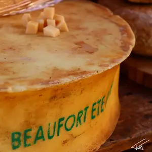 Nourriture<br>Couleur