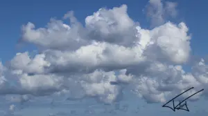 002