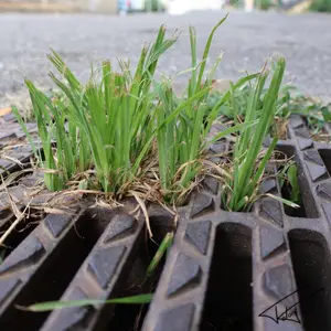 Plantes<br>Couleur
