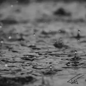 Pluie<br>Noir et Blanc