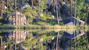 Reflets<br>Couleur