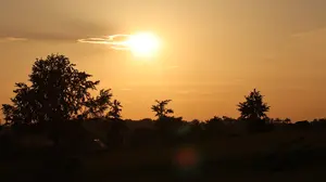 005