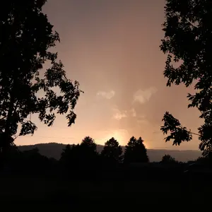 017