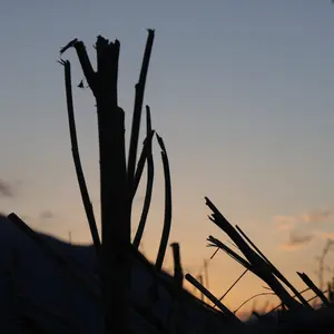018