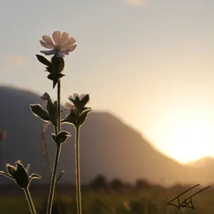 034