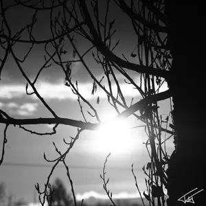 Soleil<br>Noir et Blanc