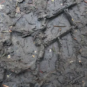 Traces<br>Couleur