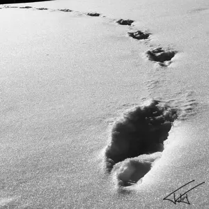 Traces<br>Noir et Blanc
