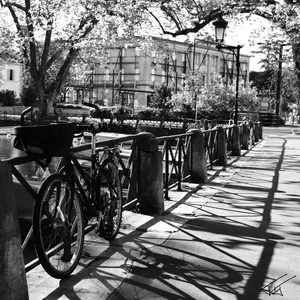 Vehicules<br>Noir et Blanc